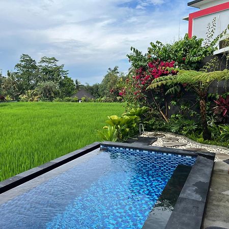 Maple Ridge Ubud Villas מראה חיצוני תמונה