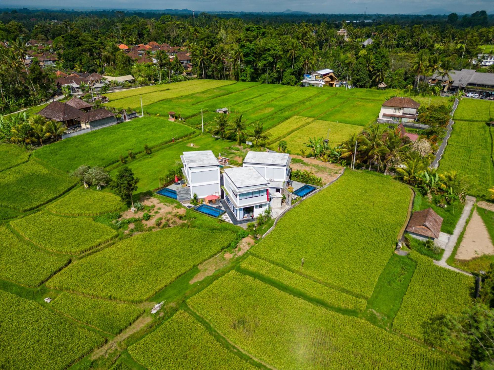 Maple Ridge Ubud Villas מראה חיצוני תמונה