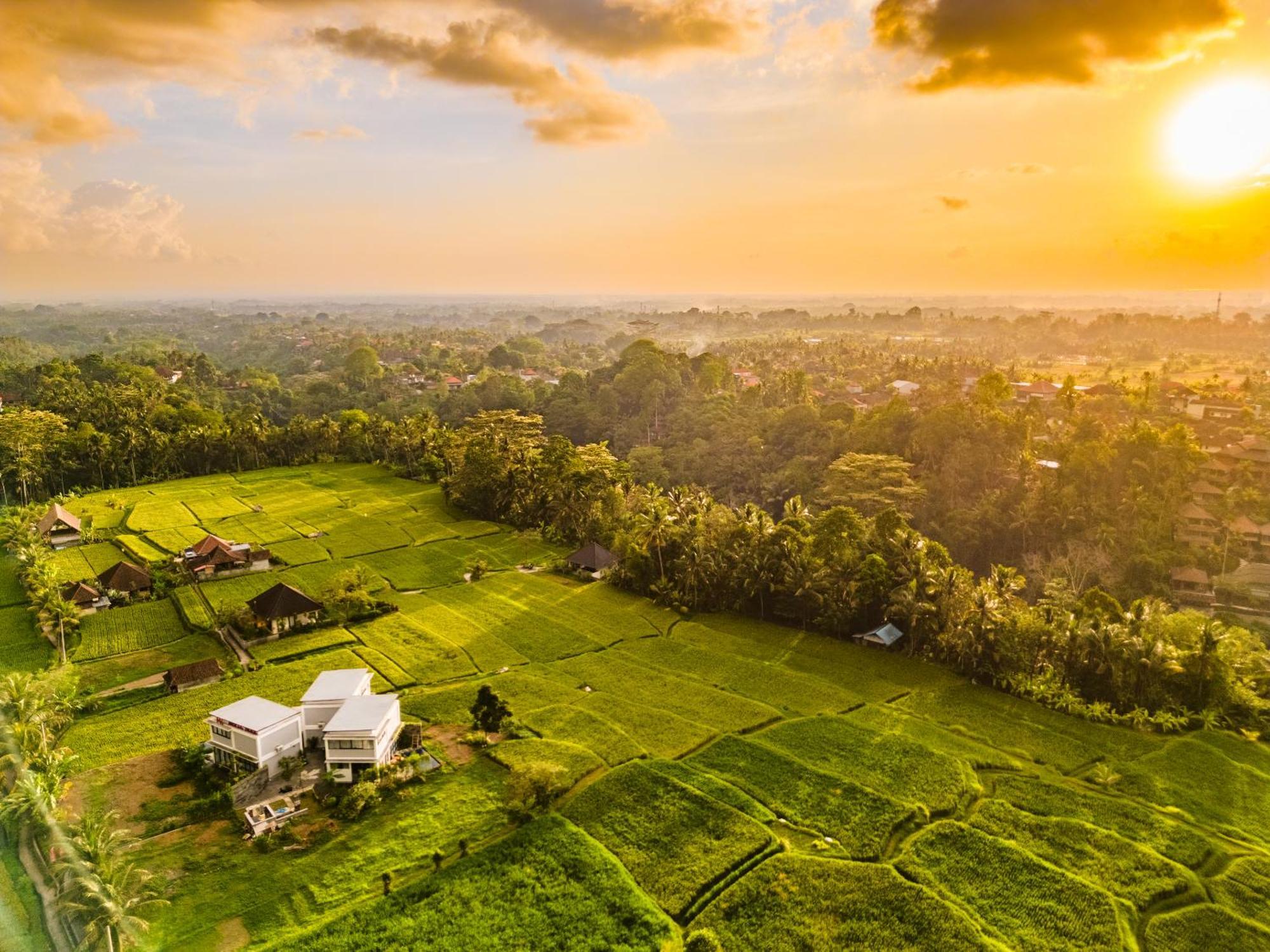 Maple Ridge Ubud Villas מראה חיצוני תמונה