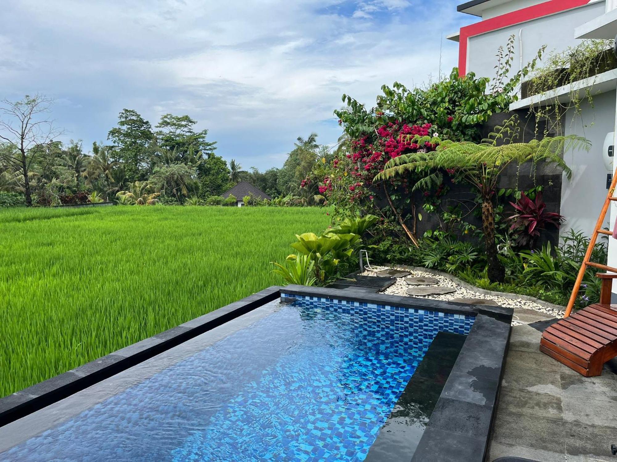 Maple Ridge Ubud Villas מראה חיצוני תמונה