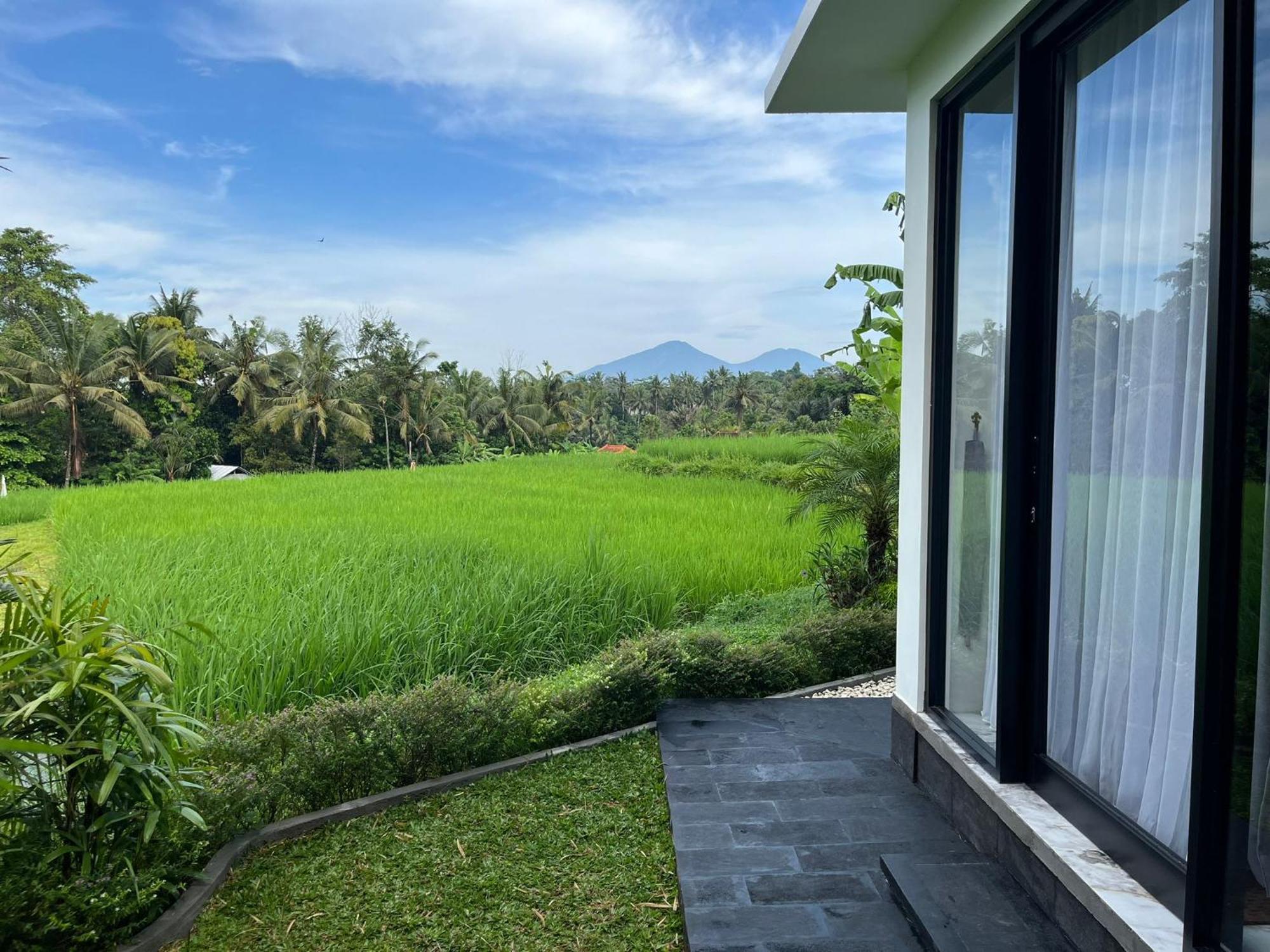 Maple Ridge Ubud Villas מראה חיצוני תמונה