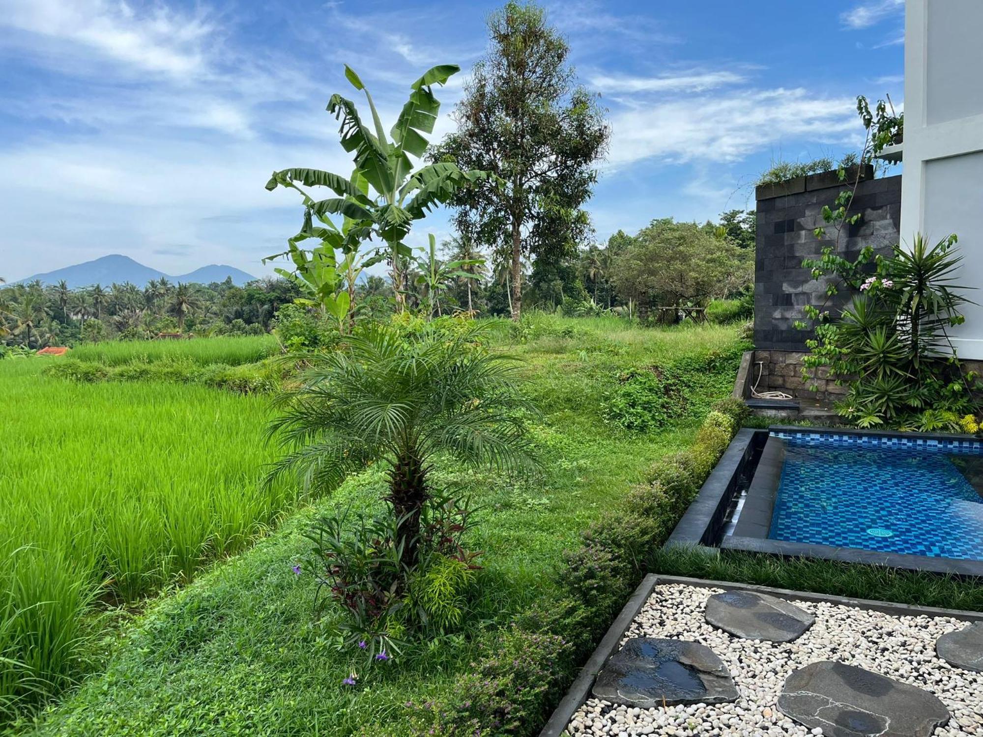 Maple Ridge Ubud Villas מראה חיצוני תמונה