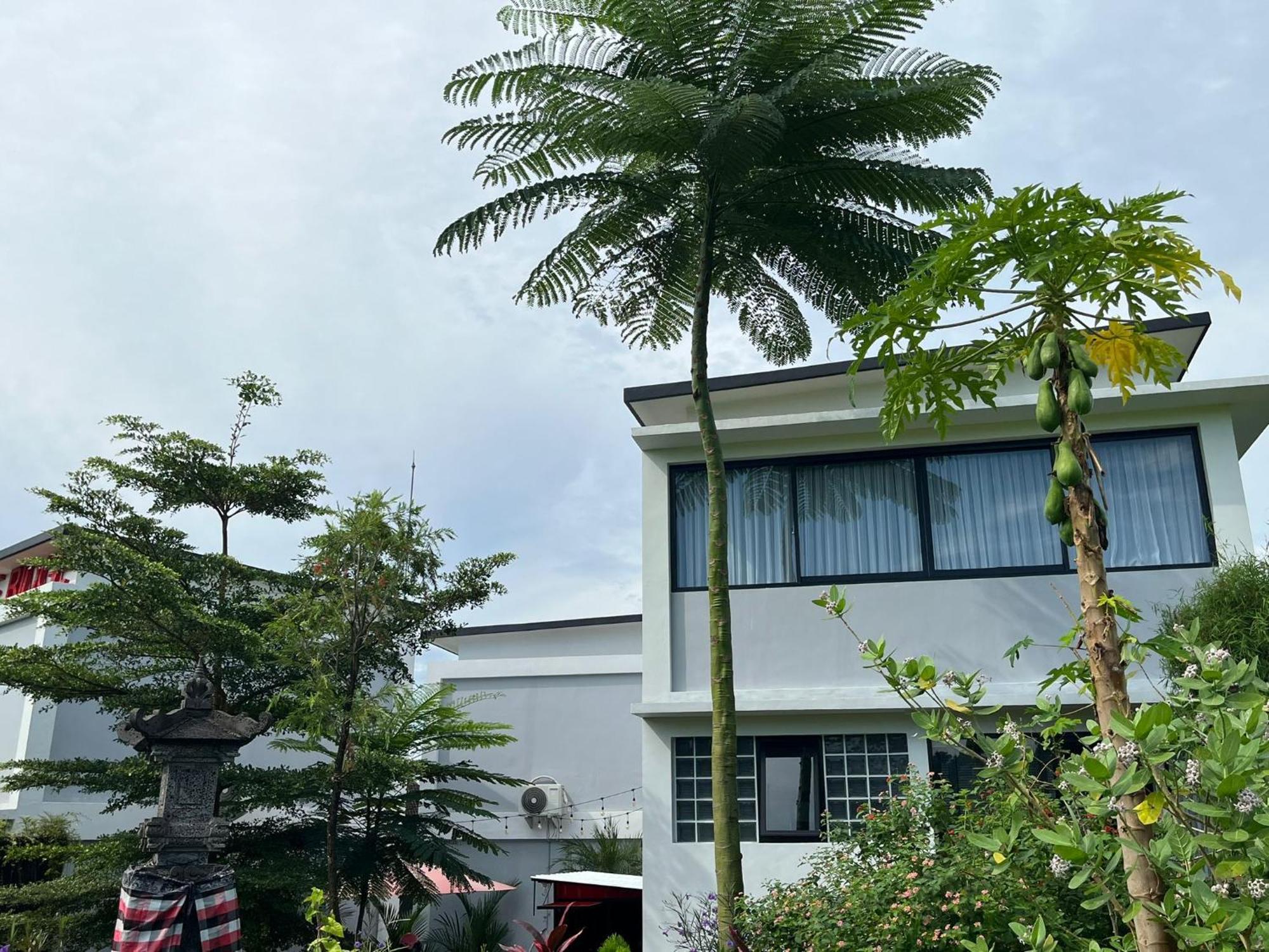 Maple Ridge Ubud Villas מראה חיצוני תמונה
