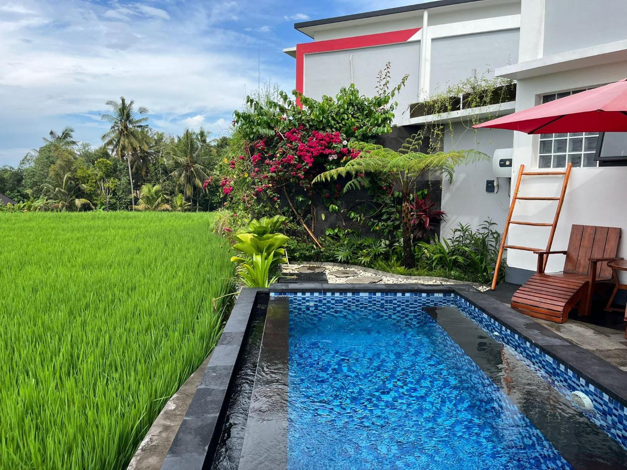 Maple Ridge Ubud Villas מראה חיצוני תמונה
