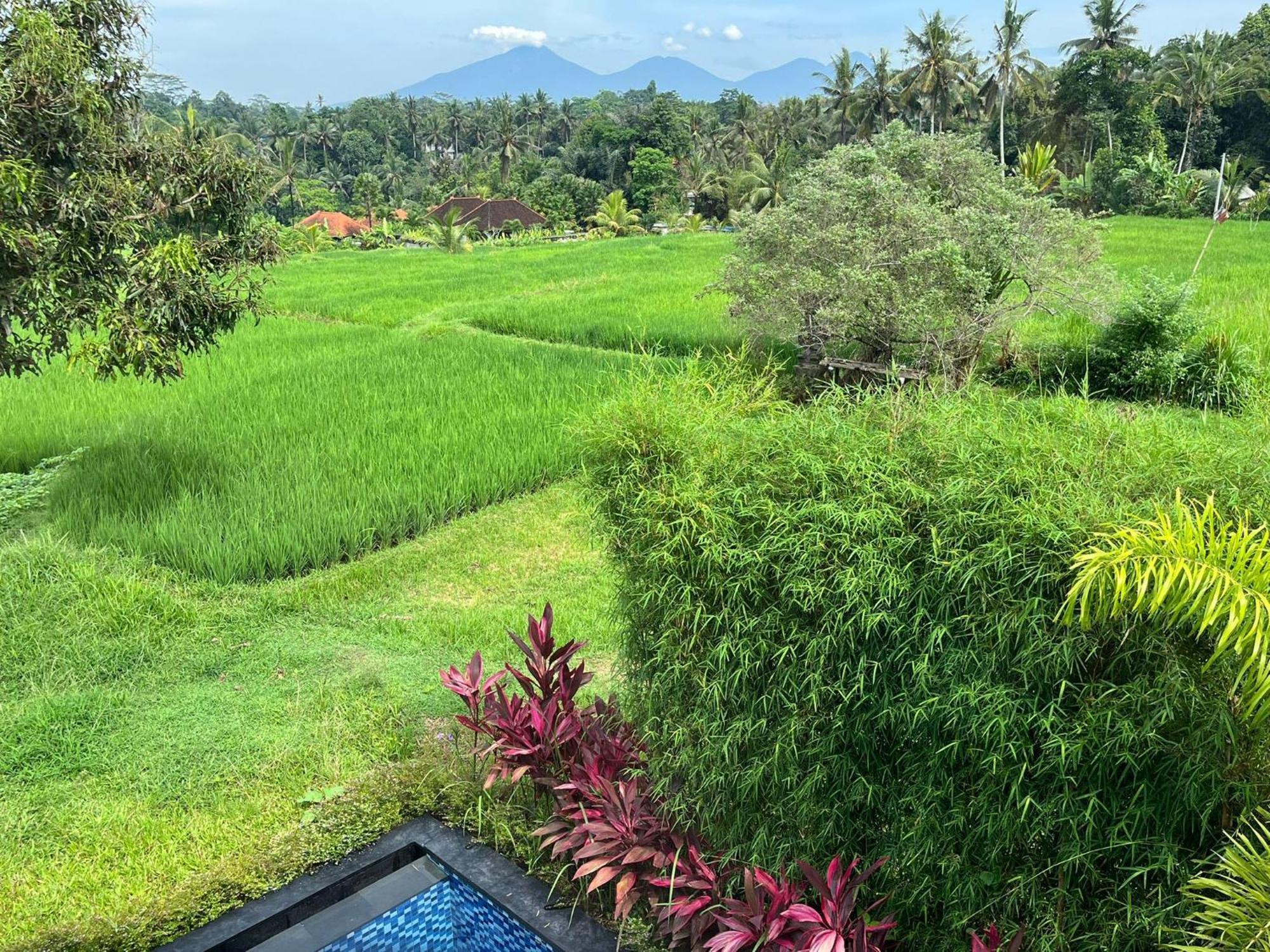 Maple Ridge Ubud Villas מראה חיצוני תמונה