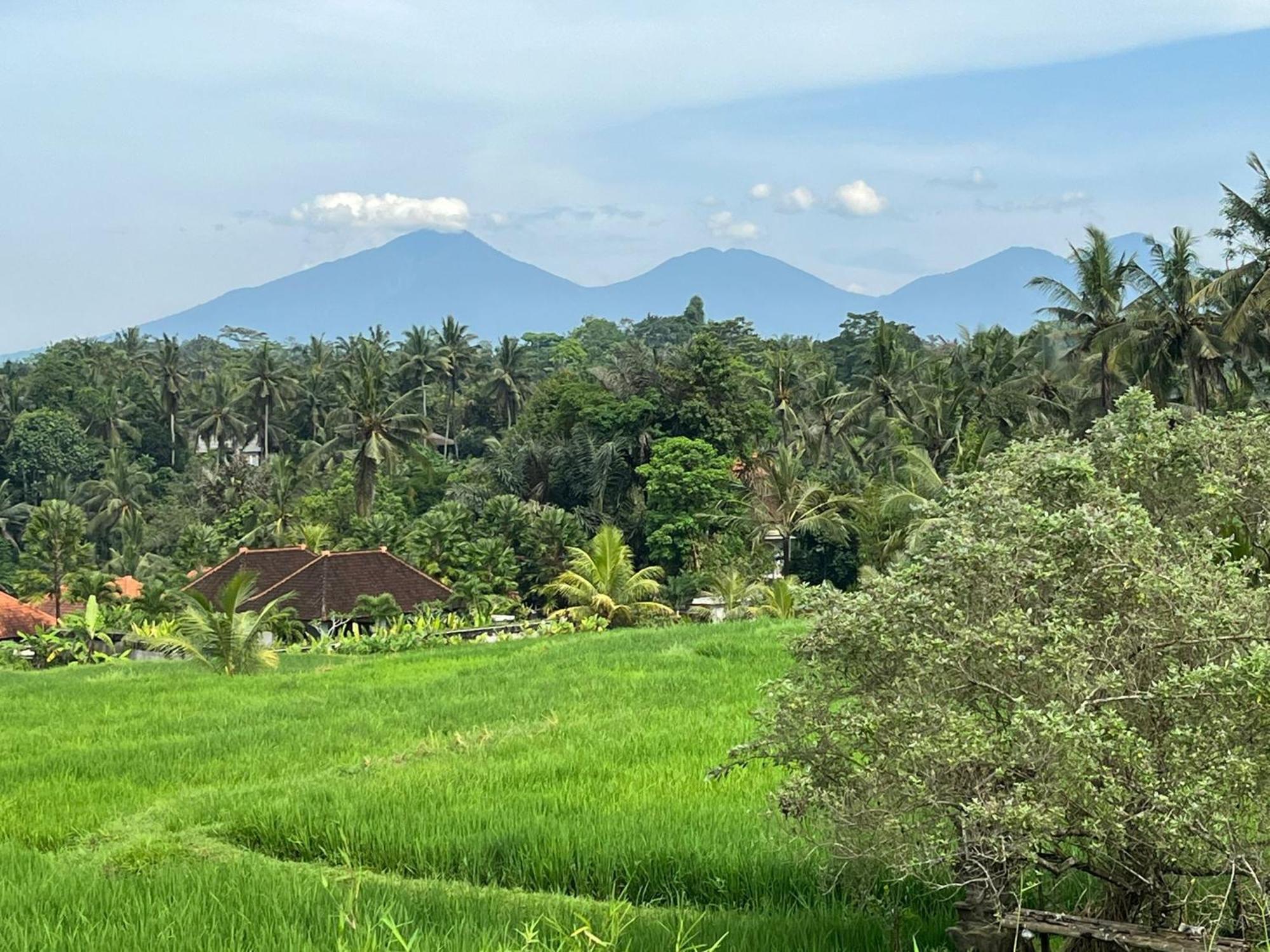 Maple Ridge Ubud Villas מראה חיצוני תמונה